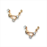 サルルプロジェクト 商品画像