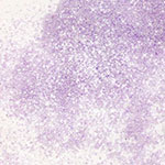 サルルプロジェクト 商品画像