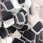 サルルプロジェクト 画像