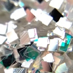 サルルプロジェクト 画像