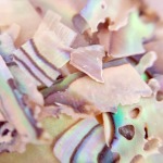 サルルプロジェクト 商品画像