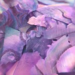 サルルプロジェクト 商品画像