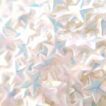 サルルプロジェクト 商品画像