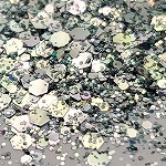 サルルプロジェクト 画像