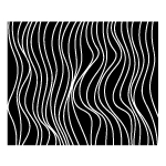 サルルプロジェクト 商品画像