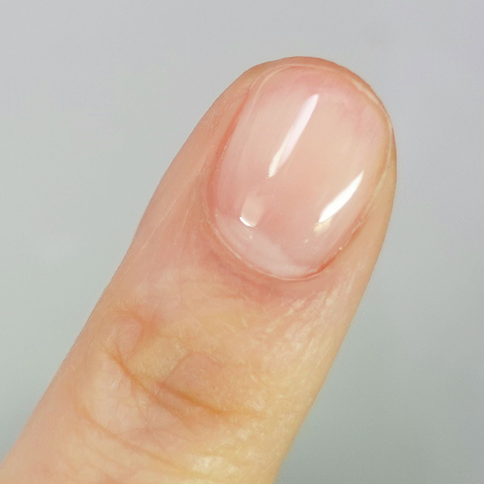 ノンワイプトップジェル15g GEL-001[ハピジェル][B7-7] | 【サルル