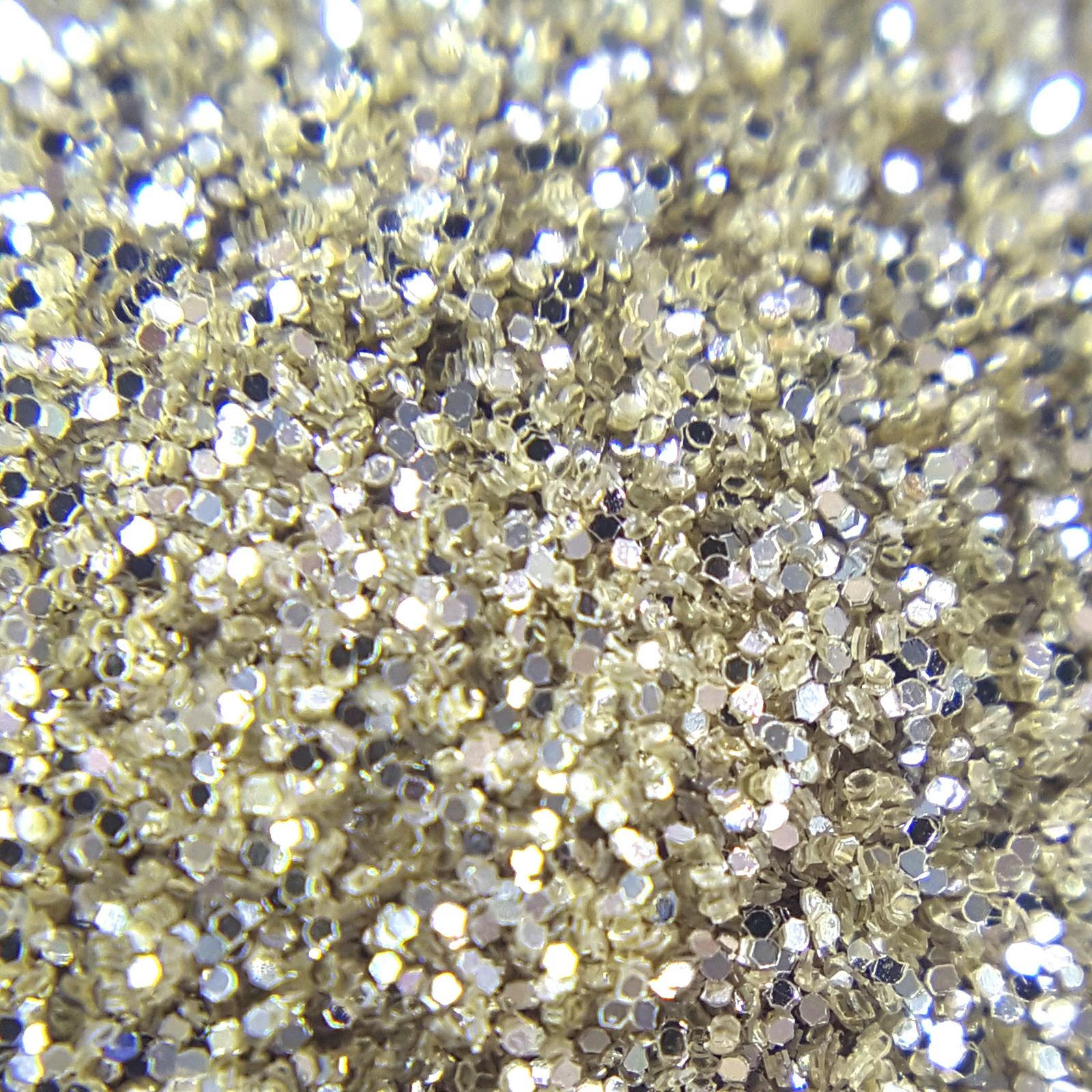 メタリックグリッター0.2mm【全24色】*ハピホロシリーズ* | 【サルル