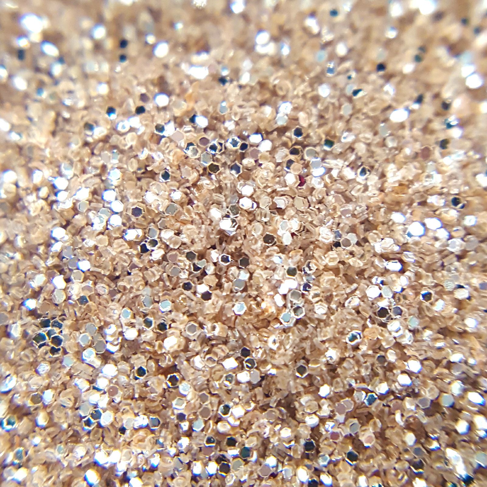 メタリックグリッター0.2mm【全24色】*ハピホロシリーズ* | 【サルル
