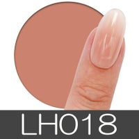 ロングハードジェル【クリア・マットカラー】