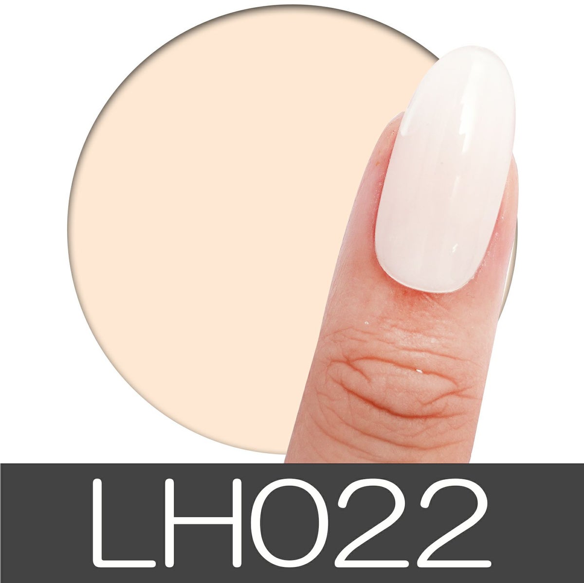 ロングハードジェル【クリア・マットカラー】