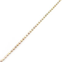 シルバーオーロラ