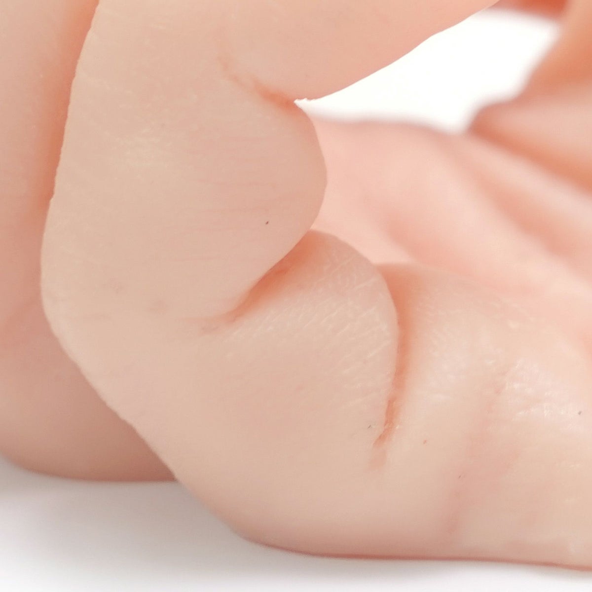 ディスプレイ用 リアルハンド