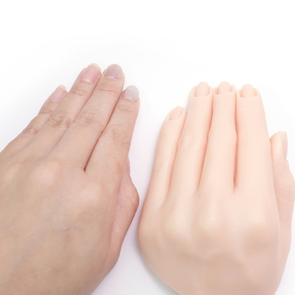 ディスプレイ用 リアルハンド