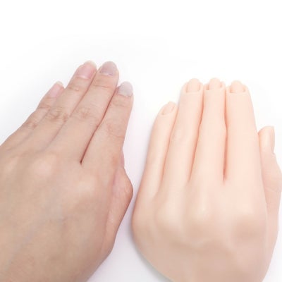 ディスプレイ用 リアルハンド