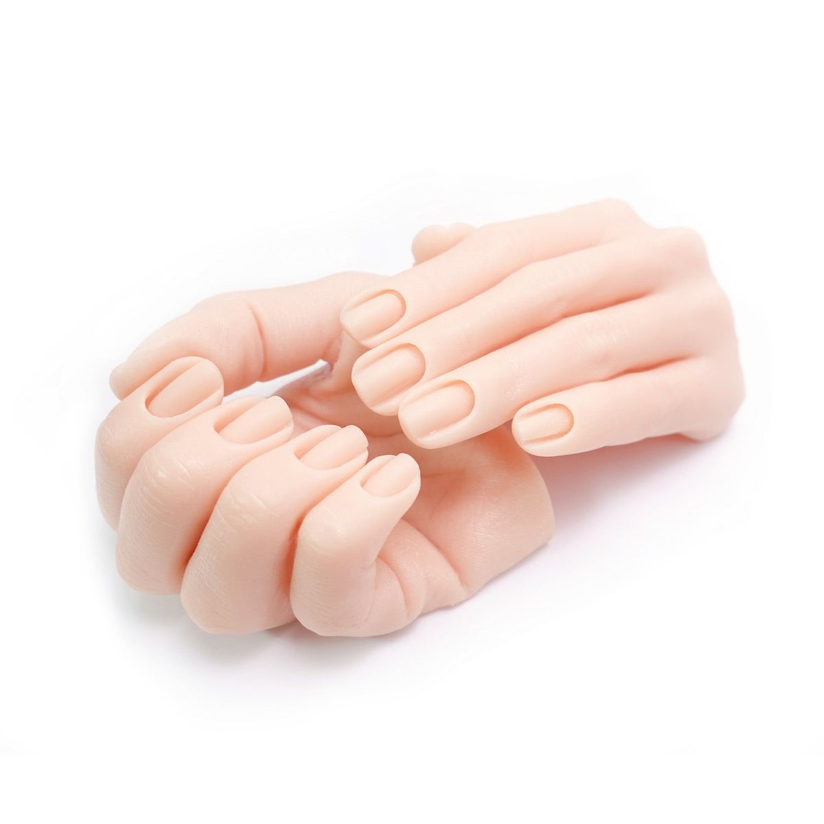 ディスプレイ用 リアルハンド