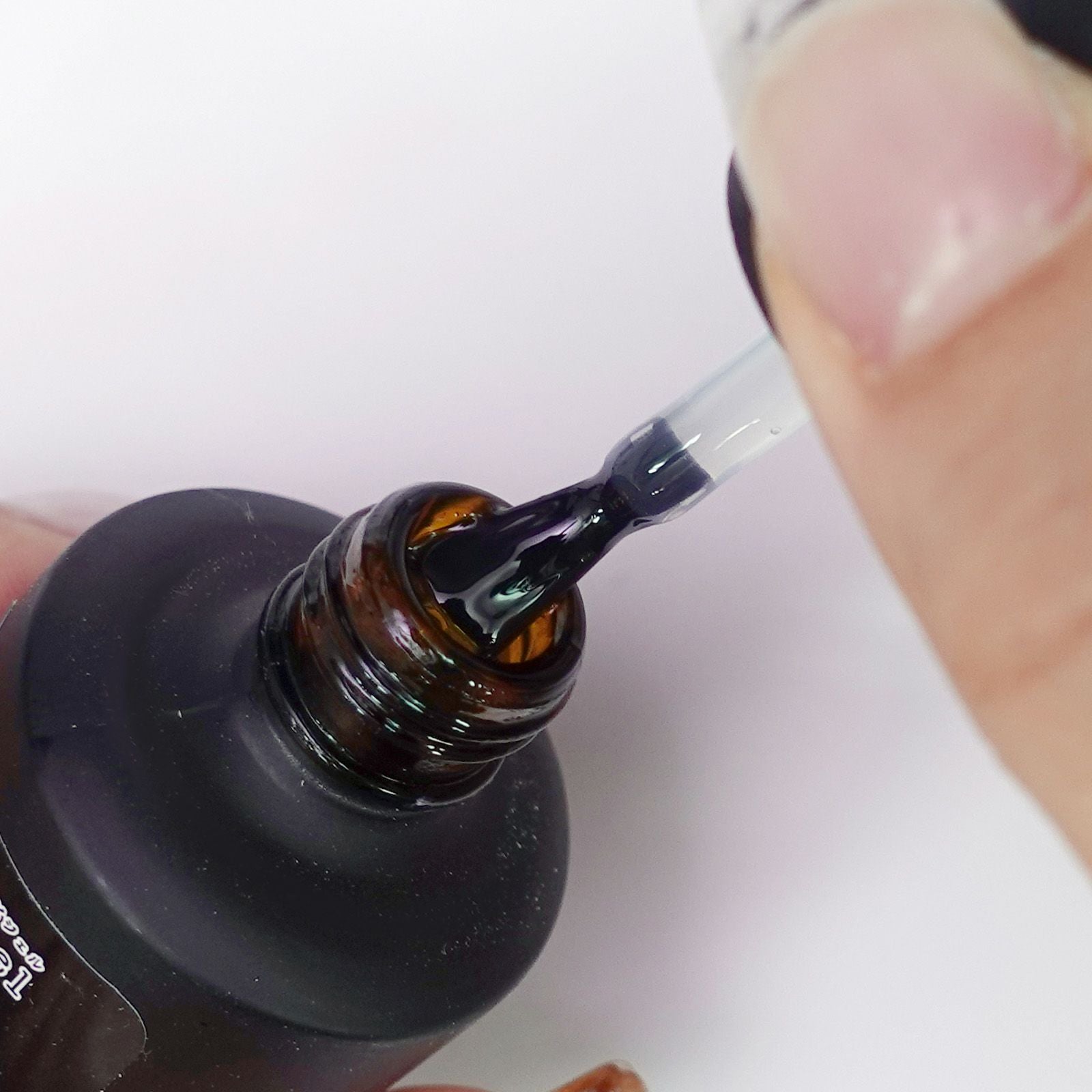 フルーリア　ネイルチュアブラシ　21mm （廃盤品）２日間限定値下げ 塗りやすさ爆上がり！交換用 ラウンドブラシ[A02-13] | 【サルル
