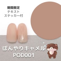  新作！2023A/W ポリッシュタイプジェル【ぼんやりシリーズ全３色セット】テキスト付！