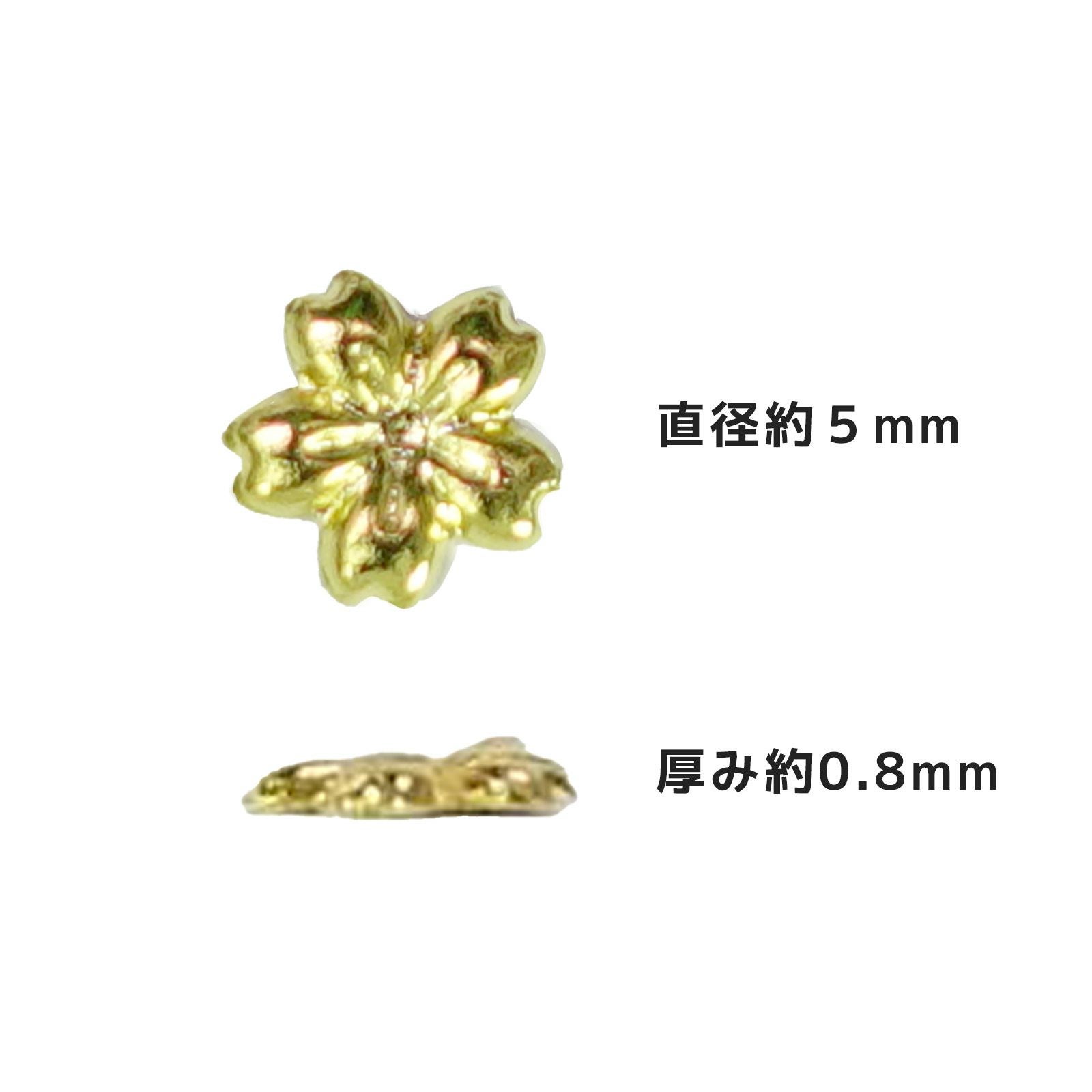 程よいサイズ感