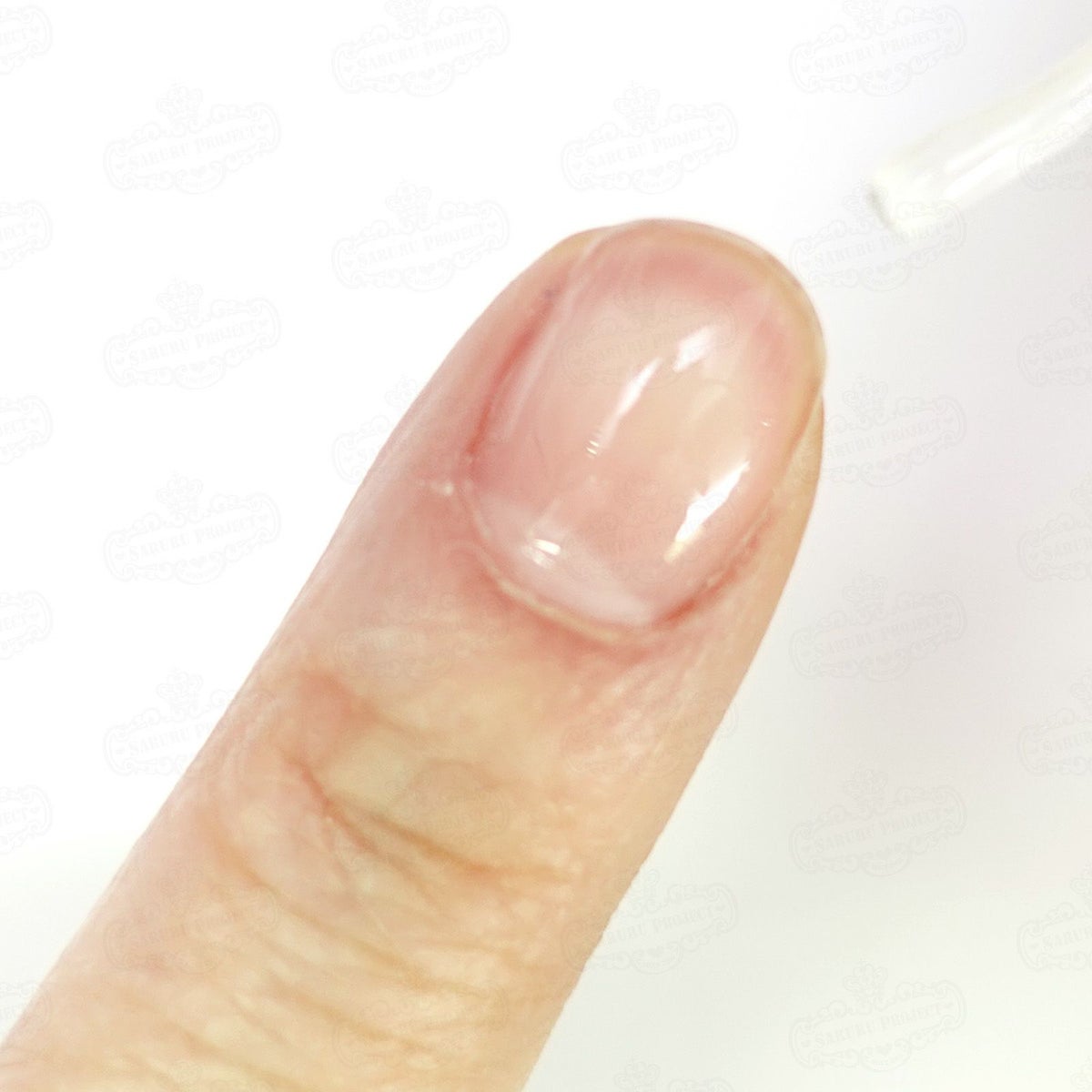 パープルコレクショングリッターズ【全11色セット】 *ハピホロシリーズ*