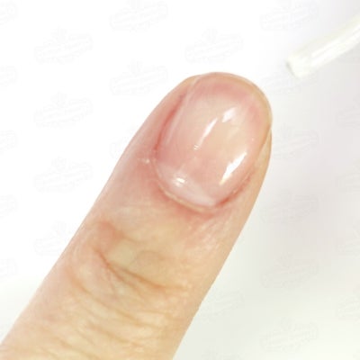 パープルコレクショングリッターズ【全11色セット】 *ハピホロシリーズ*