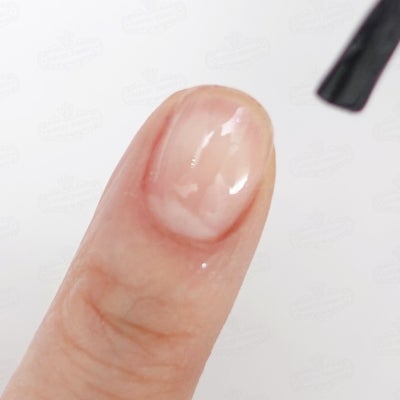 パープルコレクショングリッターズ【全11色セット】 *ハピホロシリーズ*