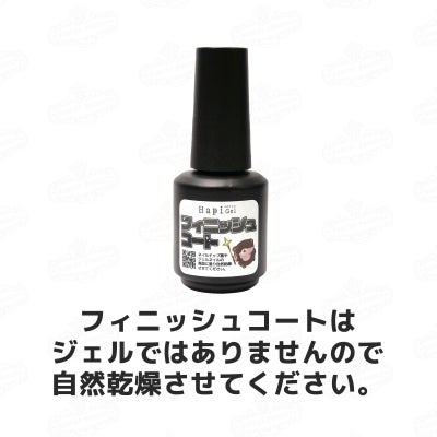  フィニッシュコート