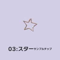 【100％ポイント還元】楽ちんアートモールド実物サンプル